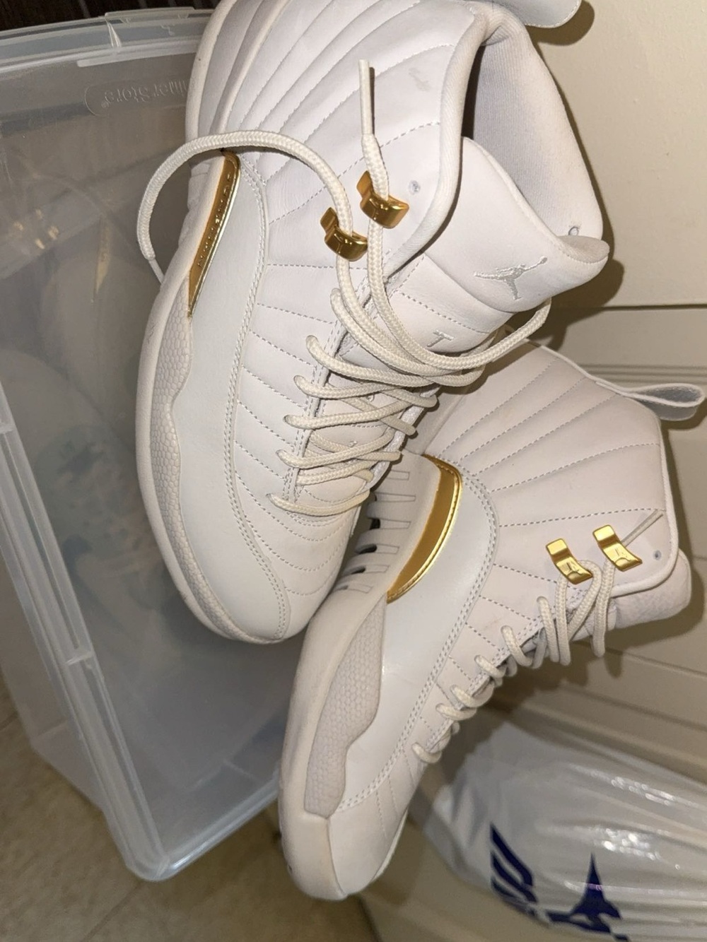 Jordan Retro 12s